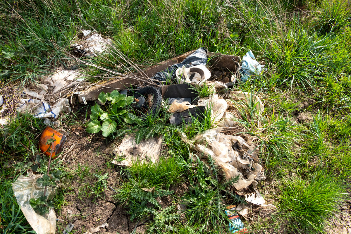 Wilden Müll im Ammerland melden