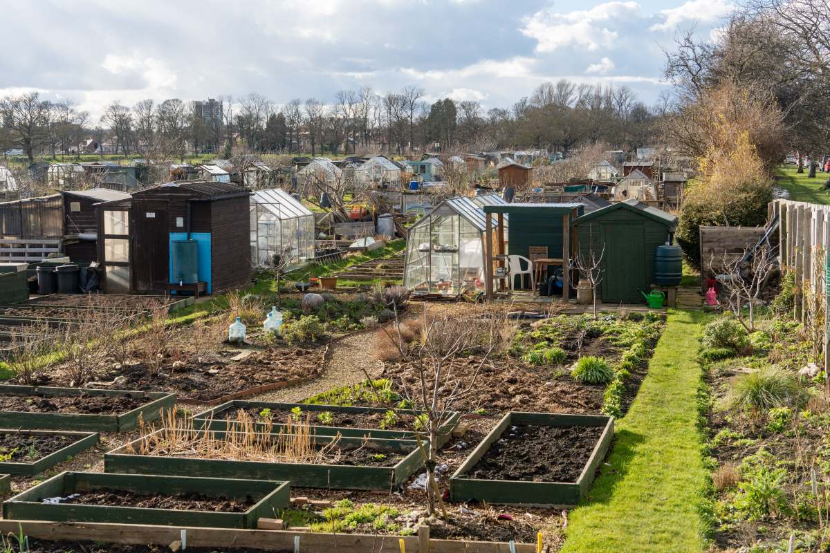 Schrebergarten in Ammerland: Pacht, Regeln und praktische Ti